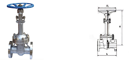 DZ41Y美標低溫閘閥