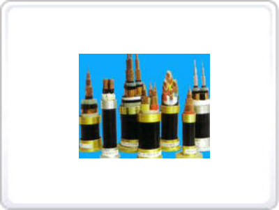 交聯聚乙烯絕緣電力電纜