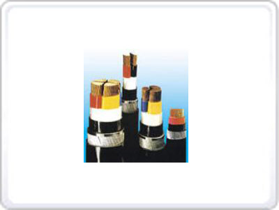 聚氯乙烯護套電力電纜